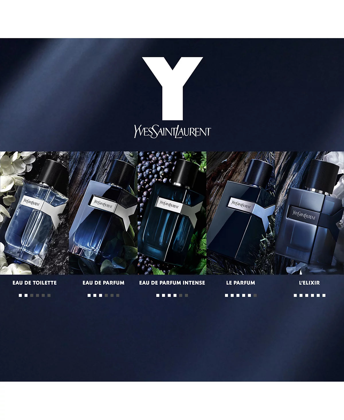 YVES SAINT LAURENT Y LE PARFUM.