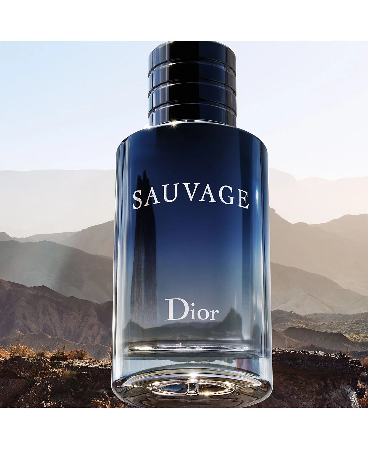 DIOR MEN'S SAUVAGE EAU DE TOILETTE.