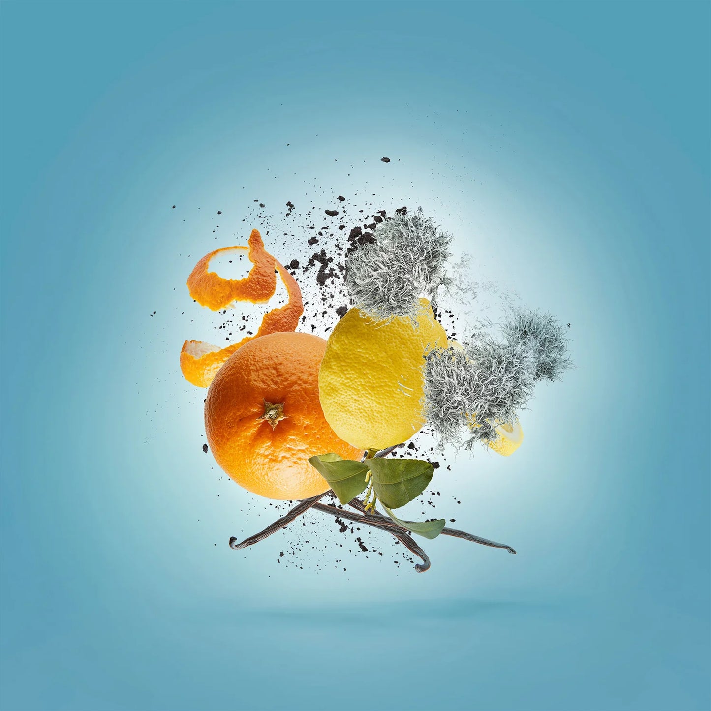 XERJOFF ERBA PURA EAU DE PARFUM.